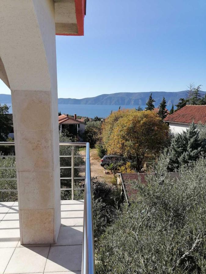 Apartament Andreja Pinezići